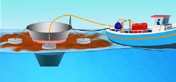 c54b6251877b4ed093ec053b0d1392f3.jpg c54b6251877b4ed093ec053b0d1392f3.jpg